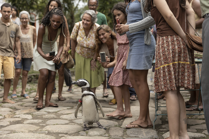 La película comienza con tragedia pero rápidamente eleva los ánimos.