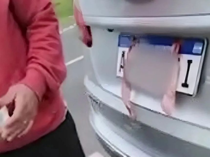 Video: tapó y adulteró las patentes de una camioneta e intentó «arreglar» con los agentes para evadir la multa
