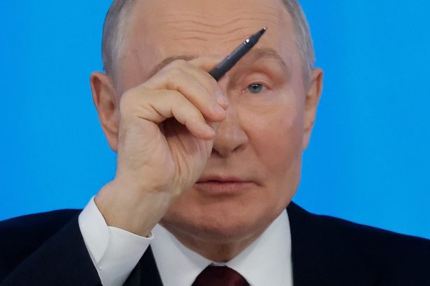 Putin revela que el sistema antiaéreo ruso estaba activo durante el accidente