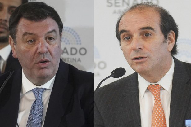 El juez Ramos Padilla sigue firme en el caso Lijo y García Mansilla