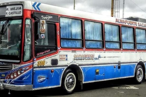 Paro de Colectiveros en La Matanza: Seis Líneas Afectadas Tras Ataque