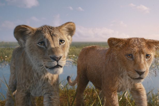 Mufasa: La emocionante aventura familiar que ya brilla en Disney+