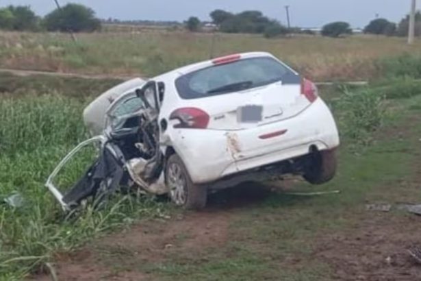 Tragedia en Córdoba: Vaca suelta causa accidente fatal en ruta