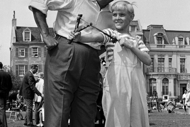 Fallece Jay North, el icónico Daniel el Travieso de la TV
