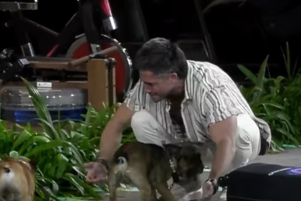 Gran Hermano: Estrategias VIP y Famosos que Aumentan el Rating