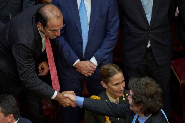 El Gobierno urge a García Mansilla a permanecer en la Corte