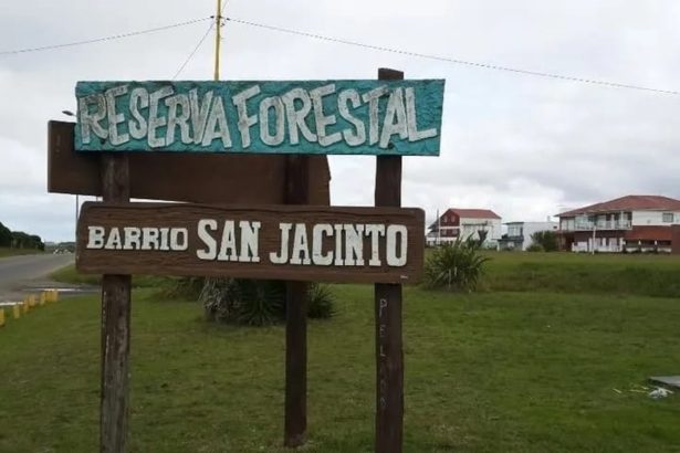 Alarma en Mar del Plata: Vecinos denuncian envenenamiento de perros