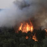 Incendios en Jerusalén: 18 detenidos y fuego controlado