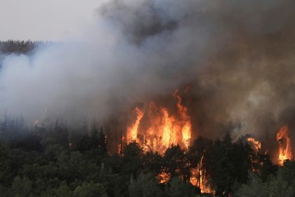 Incendios en Jerusalén: 18 detenidos y fuego controlado