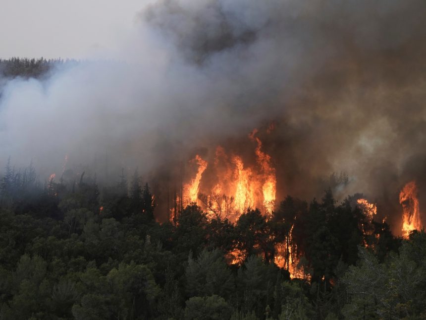 Incendios en Jerusalén: 18 detenidos y fuego controlado