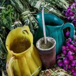 Descubre los sorprendentes beneficios de usar yerba usada en macetas