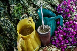 Descubre los sorprendentes beneficios de usar yerba usada en macetas