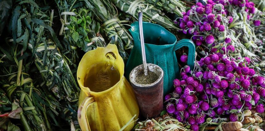 Descubre los sorprendentes beneficios de usar yerba usada en macetas