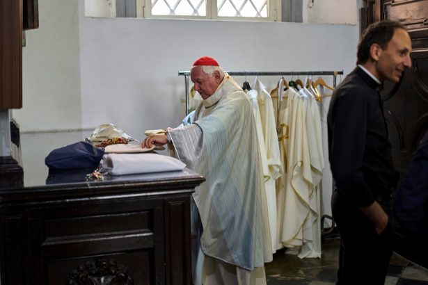 ¿Busca Macron un Papa francés? Cenas con cardenales en el Vaticano