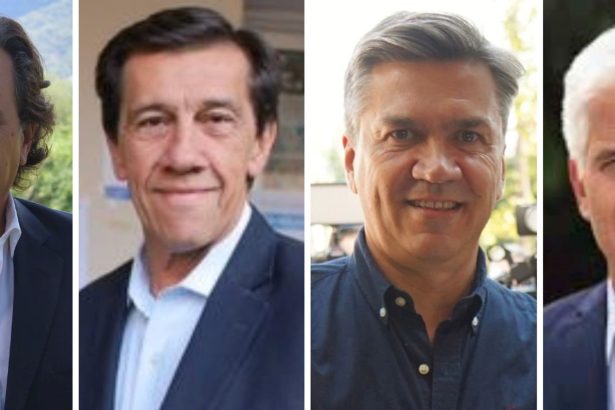 Cuatro provincias inician el año electoral: ¿Éxito para Milei y Menem?