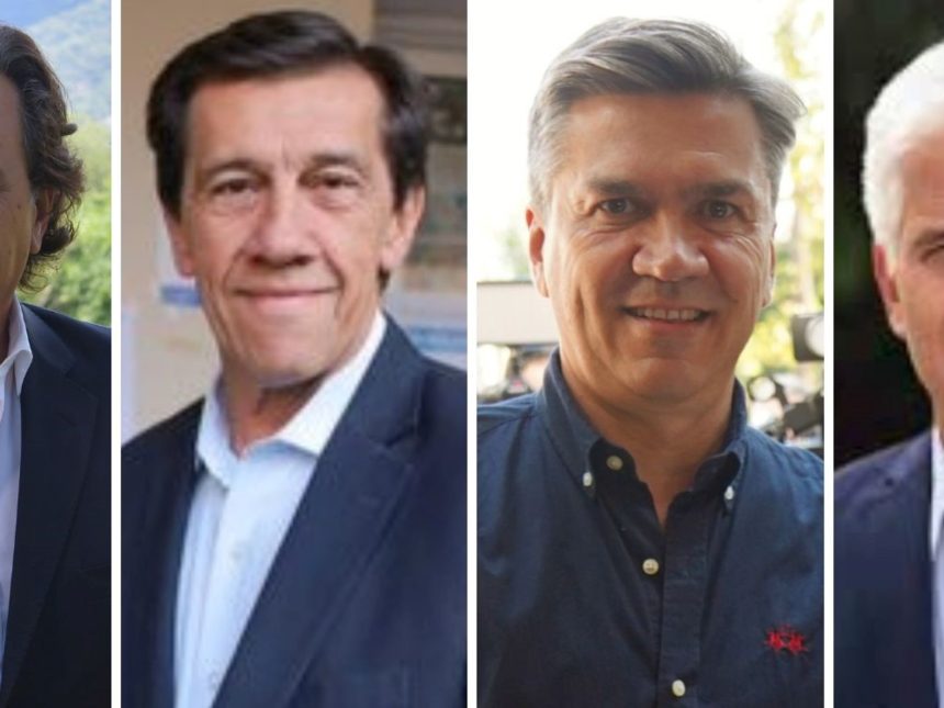 Cuatro provincias inician el año electoral: ¿Éxito para Milei y Menem?