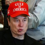 Lecciones del Adiós: El Fin del Romance entre Trump y Musk