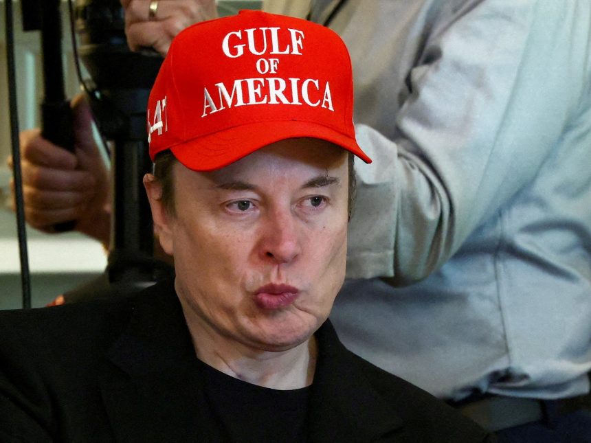 Lecciones del Adiós: El Fin del Romance entre Trump y Musk