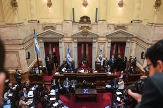 Ascensos Militares en el Senado: Tensión entre Petri y Villarruel