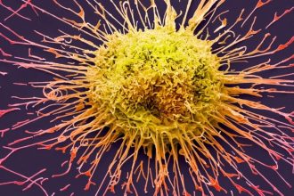 Descubre la Impactante Creencia Argentina sobre la Cura del Cáncer