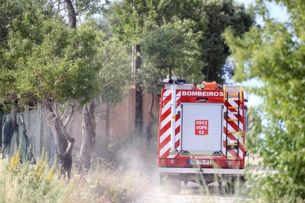 Impactante: Buscan a Madeleine McCann en Portugal, 20 años después