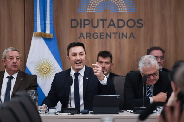 Salarios Militares: Tensión y Debate entre Luis Petri y Diputados K