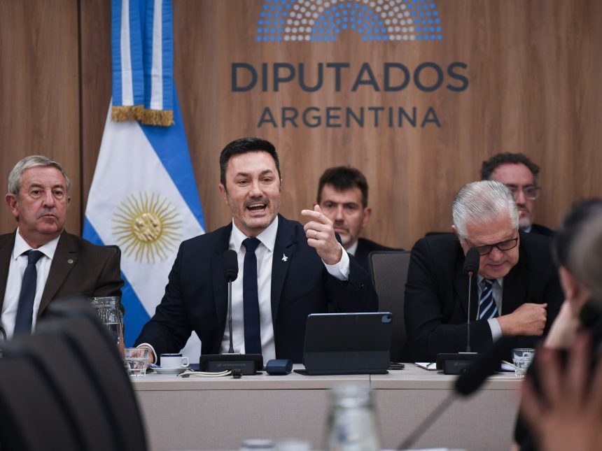 Salarios Militares: Tensión y Debate entre Luis Petri y Diputados K