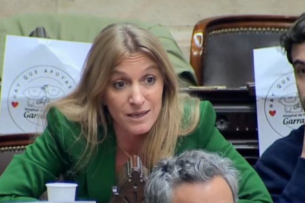 ¡Tensión en el Congreso! El explosivo cruce entre diputadas kirchneristas