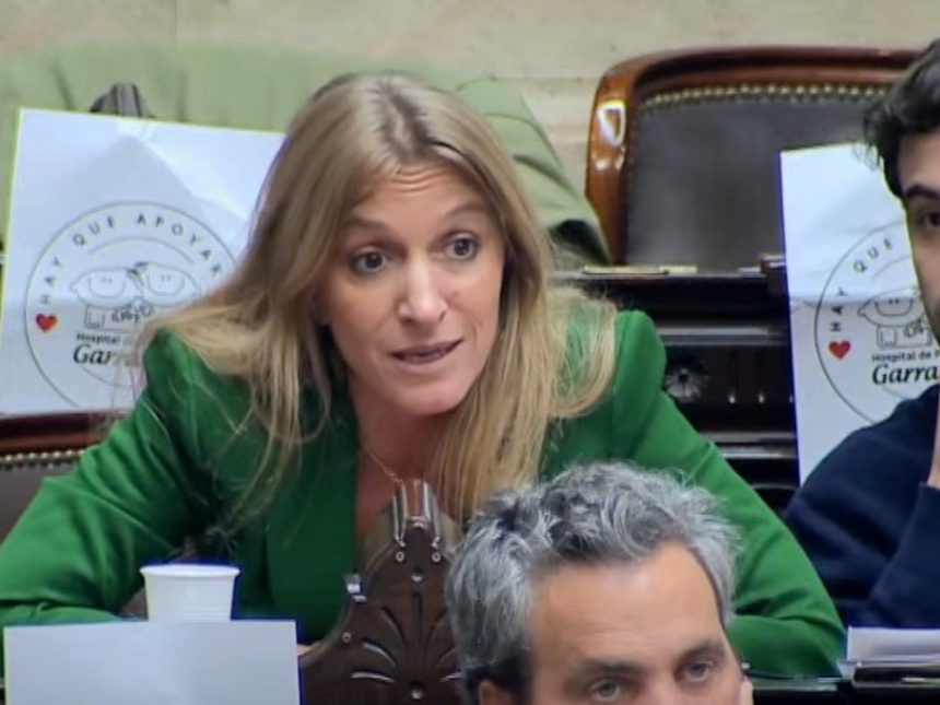 ¡Tensión en el Congreso! El explosivo cruce entre diputadas kirchneristas