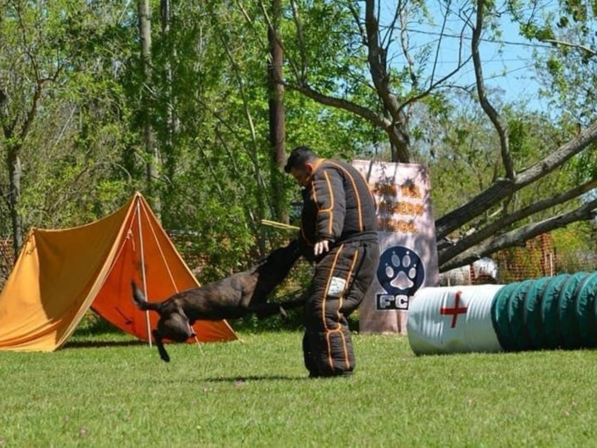 Mondioring: El emocionante deporte canino con 20 atletas en Argentina