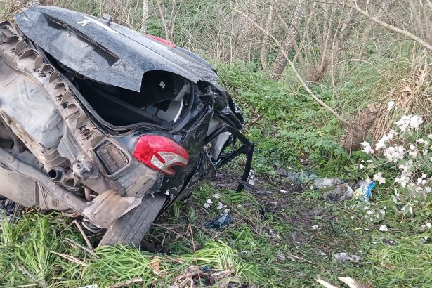 Tragedia en Ruta 88: Conductor fallece tras impactar contra un árbol