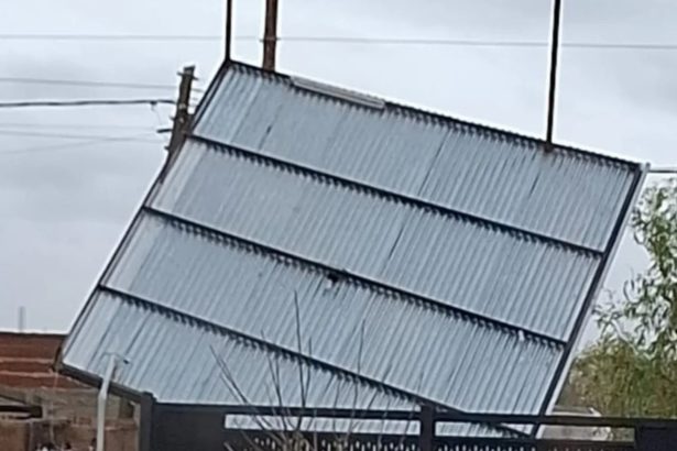 Impacto de la Sudestada: Destrozos y Suspensión de Clases en Buenos Aires