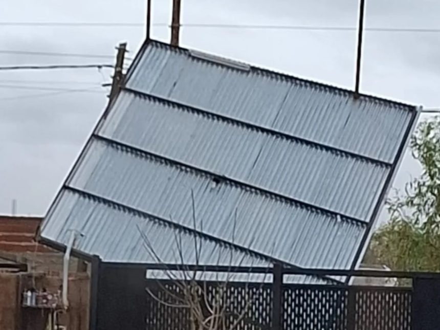 Impacto de la Sudestada: Destrozos y Suspensión de Clases en Buenos Aires