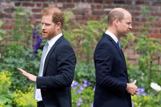 Celebrando a Diana: William y Harry honran su legado de distintas formas