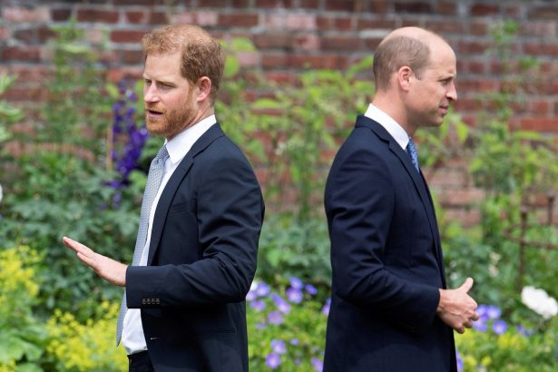 Celebrando a Diana: William y Harry honran su legado de distintas formas