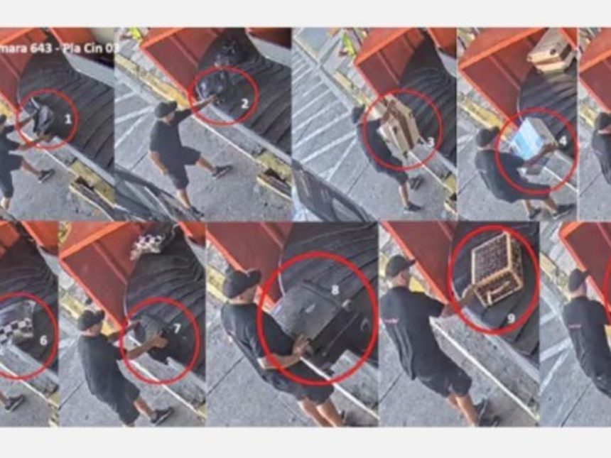 Escándalo: 10 valijas de vuelo privado ingresan sin control en el país
