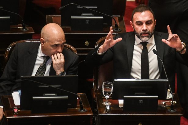 Senado en Crisis: Errores Libertarios y Rebelión de Aliados