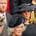 Reconciliación Real: Príncipe Harry y Rey Carlos III inician su camino