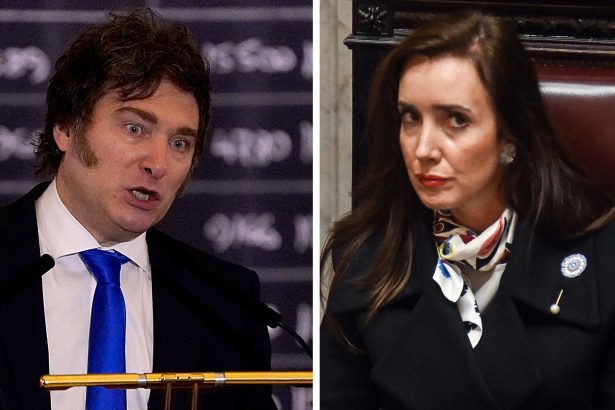 Villarruel avanza en proyectos de jubilados y discapacidad: ¿vetará Milei?