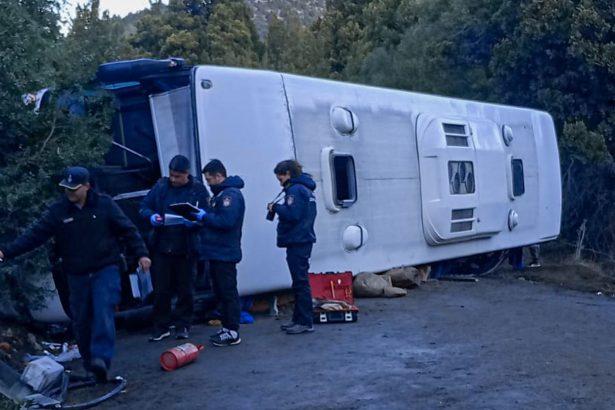 Impactante relato de un pasajero tras el vuelco del micro en Neuquén