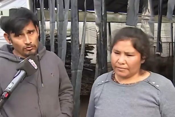 Dueños de perros que atacaron a niño de La Plata rompen el silencio