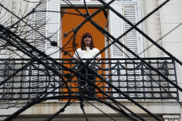 Santa Cruz defiende a Cristina Kirchner en el padrón electoral