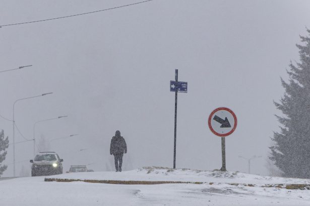 Tragedia en Neuquén: Cierre de rutas por intensa nevada y un fallecido