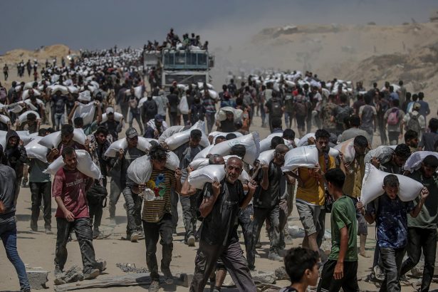 Israel Anuncia Pausa en Combates: Ayuda Humanitaria Llega a Gaza