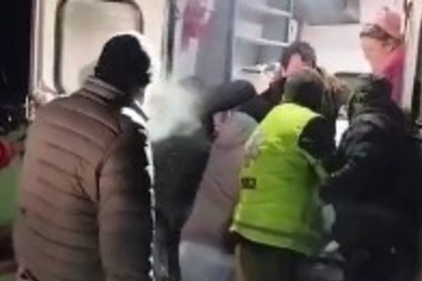 Sobrevivió en la nieve gracias al calor de sus leales perros