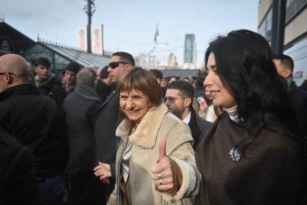 Patricia Bullrich al Senado: El contrapeso que el Gobierno necesita