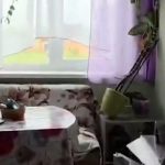 Impactantes Videos del Terremoto en Rusia que Afecta al Pacífico
