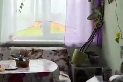 Impactantes Videos del Terremoto en Rusia que Afecta al Pacífico