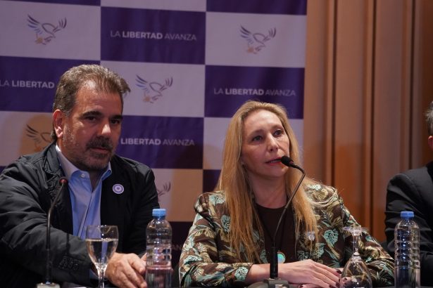 Última Hora: PRO y LLA Renuevan Alianzas en Más de 10 Provincias