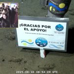 Despedida de Científicos: La Última Aventura del Conicet en el Mar